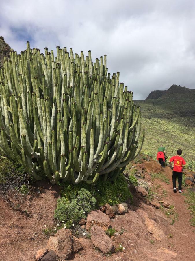 Casa Manel, La Gomera San Sebastian De La Gomera Ngoại thất bức ảnh